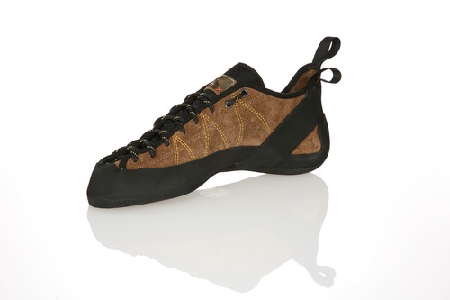 shoe